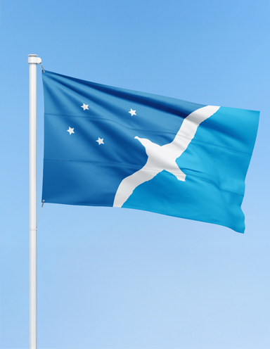 Bandera ceremonial UNPSJB por Regina Covaro